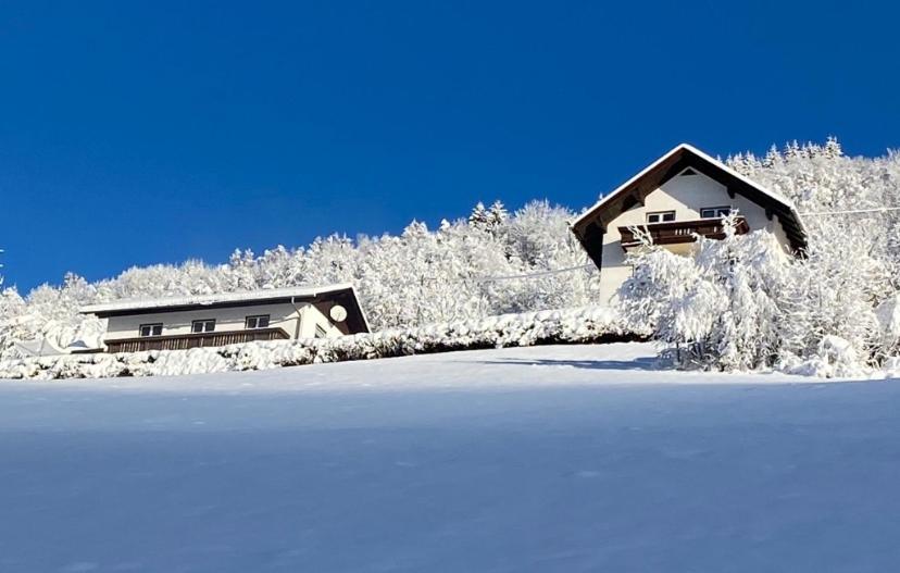 Nocky Mountains Lodge And Apartment Radenthein Eksteriør billede