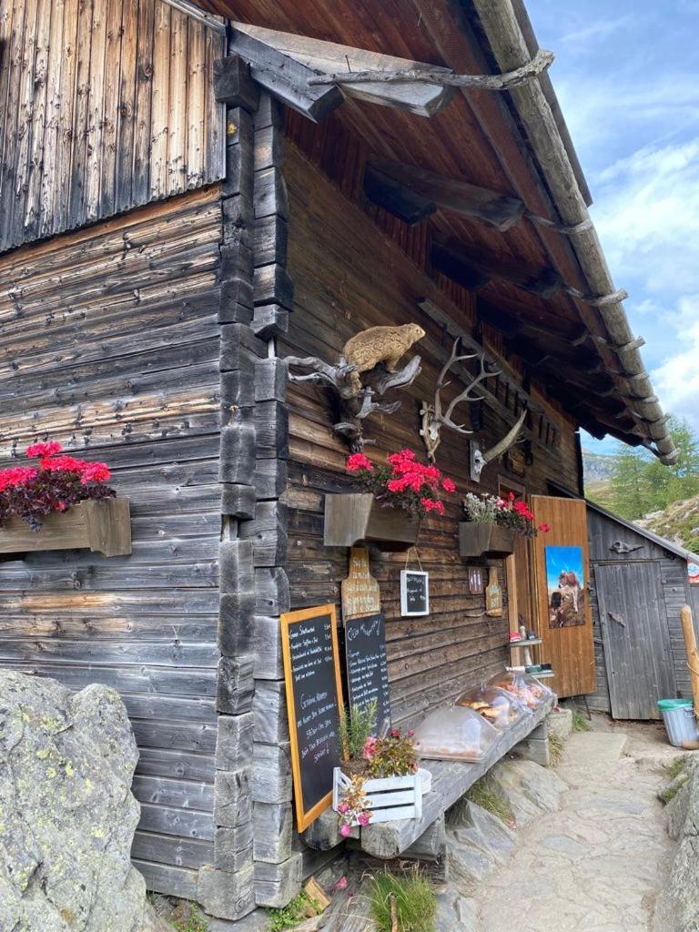 Nocky Mountains Lodge And Apartment Radenthein Eksteriør billede
